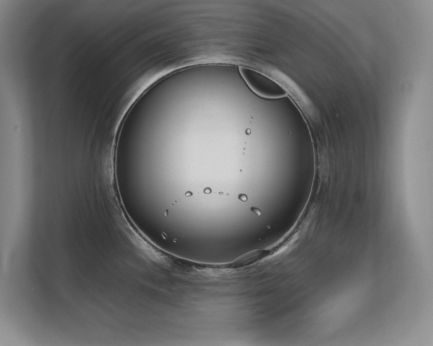 X0000111391244200907101140
