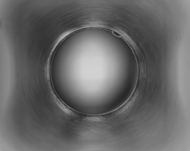 X0000111391246200907101140