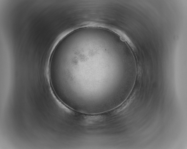 X0000111391247200907101140