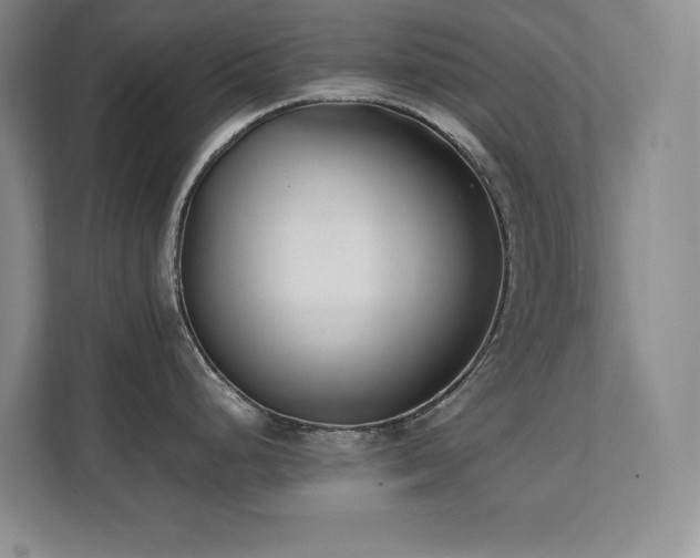 X0000111391248200907101140