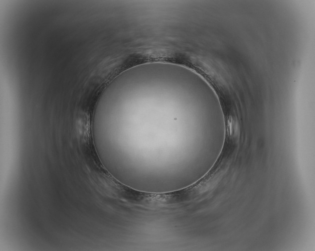 X0000111391251200907101139