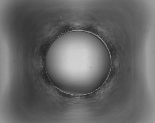X0000111391253200907101139