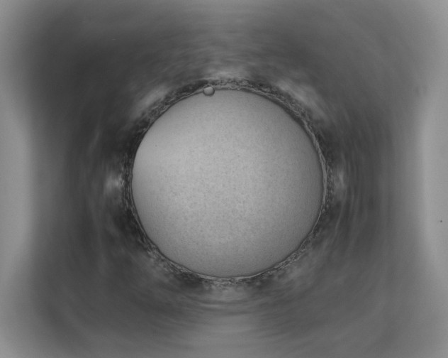 X0000111391254200907101139