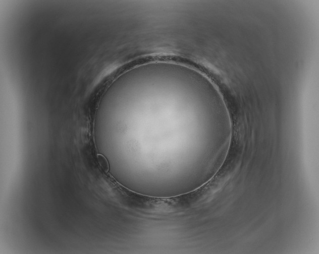 X0000111391255200907101139