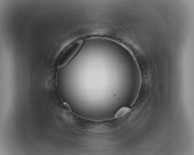 X0000111391256200907101139