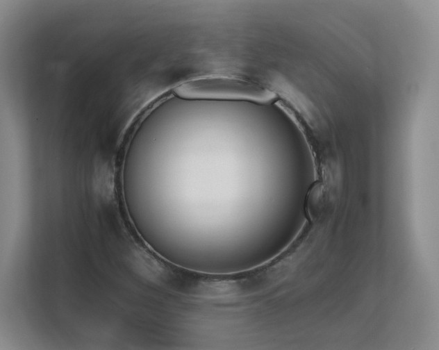 X0000111391260200907101139