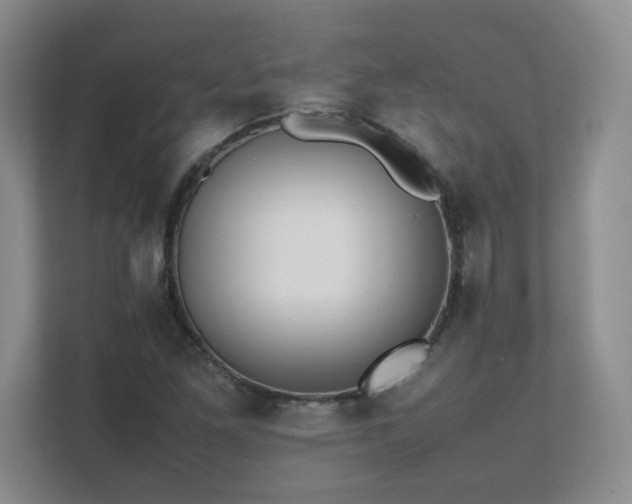 X0000111391261200907101139