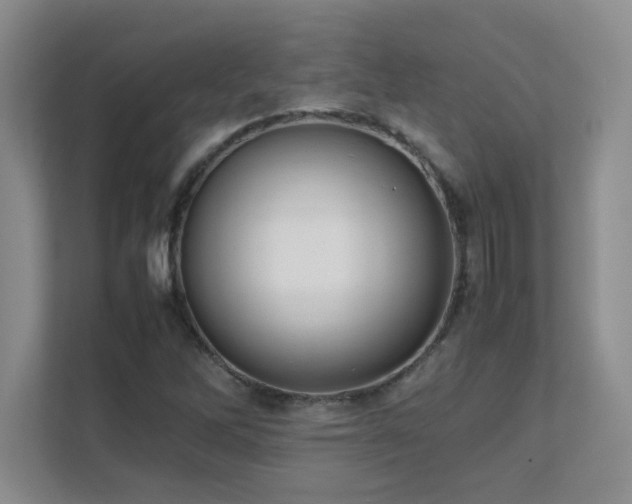 X0000111391262200907101139