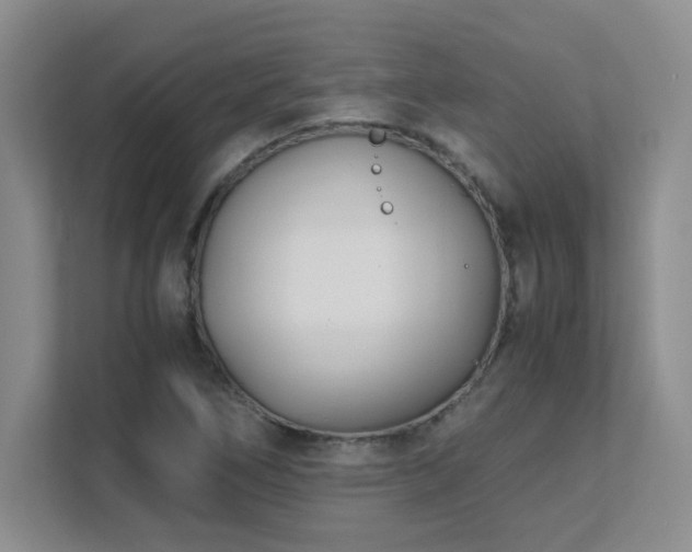 X0000111391266200907101139