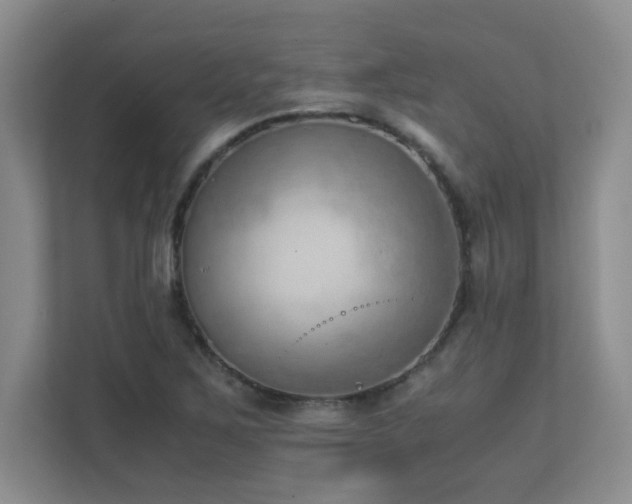 X0000111391267200907101139