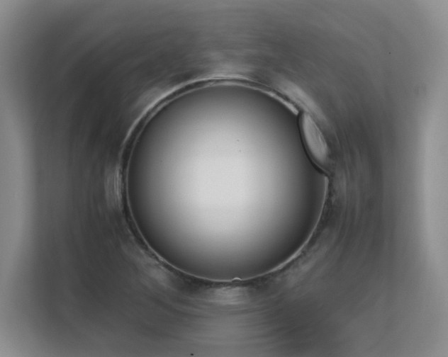 X0000111391268200907101139