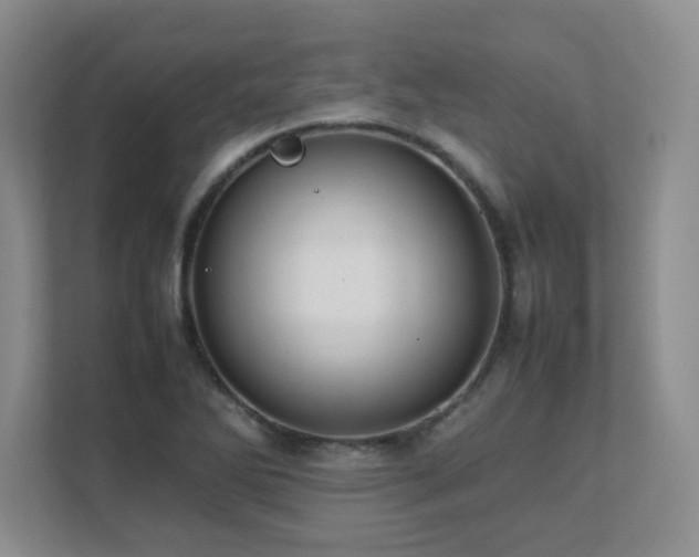 X0000111391270200907101139