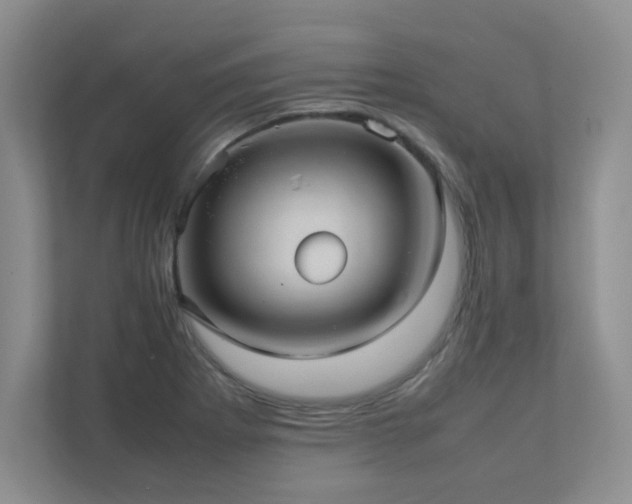 X0000111391273200907101139