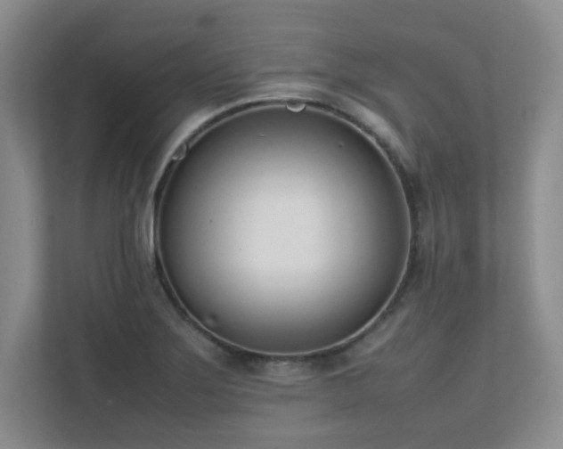 X0000111391275200907101139