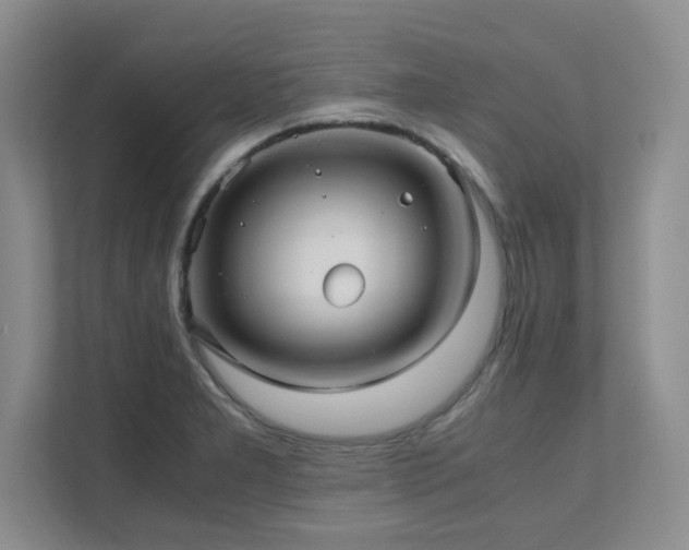 X0000111391277200907101139