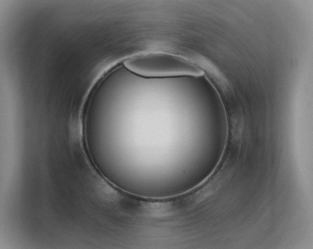 X0000111391280200907101139