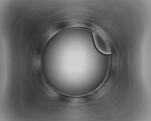 X0000111391281200907101139