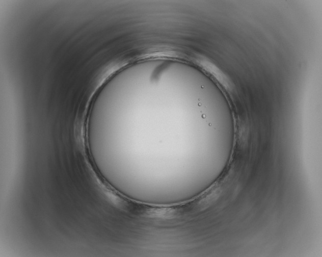 X0000111391282200907101139