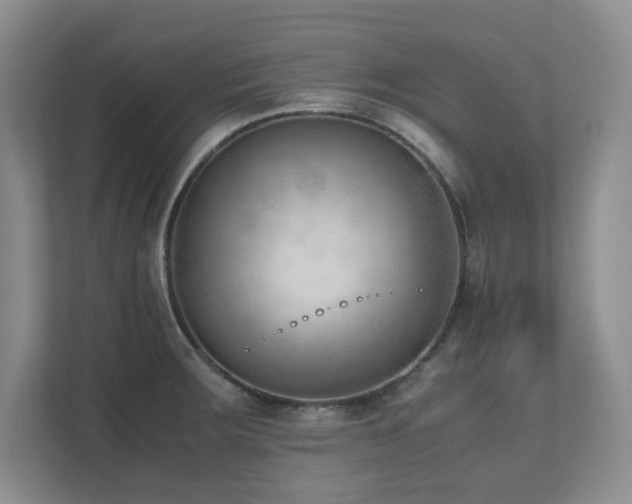 X0000111391283200907101139