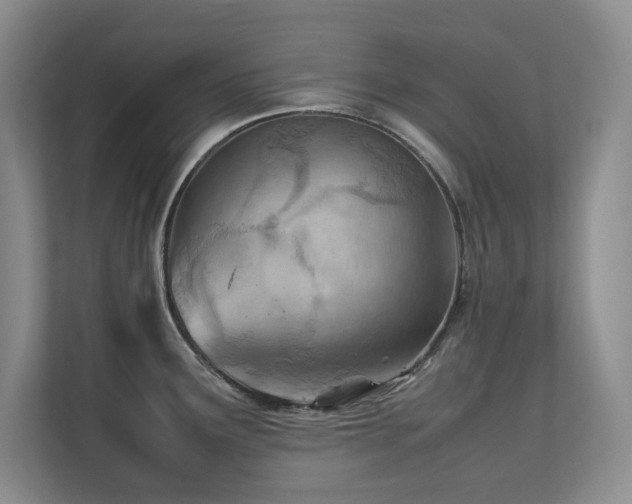 X0000111391291200907101138