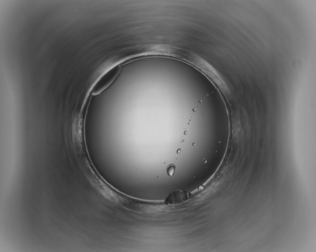 X0000111391292200907101138