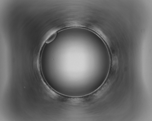 X0000111391293200907101138