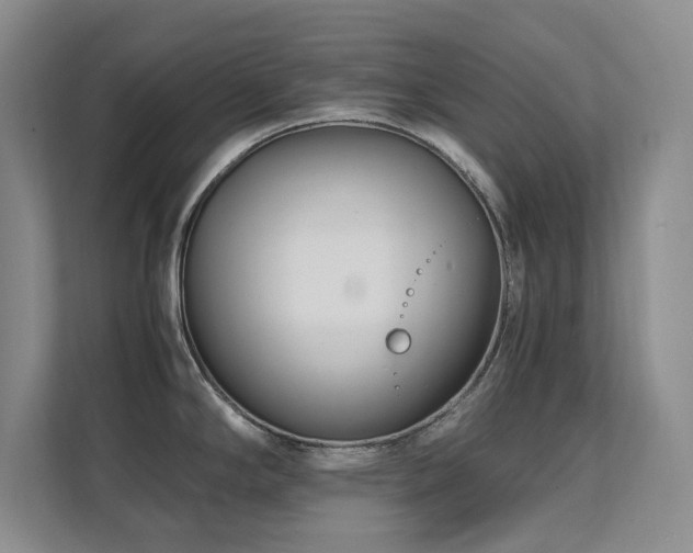 X0000111391294200907101138