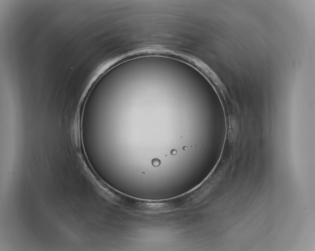 X0000111391295200907101138