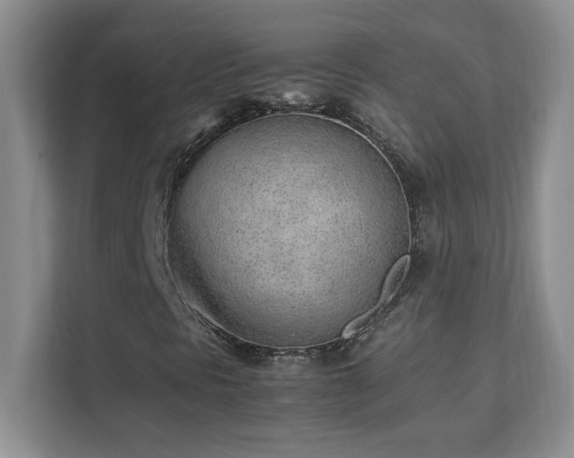 X0000111391297200907101138