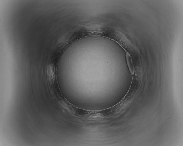 X0000111391298200907101138