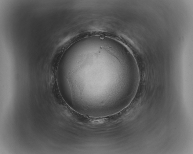 X0000111391303200907101138