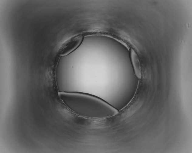 X0000111391304200907101138