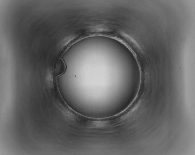 X0000111391305200907101138