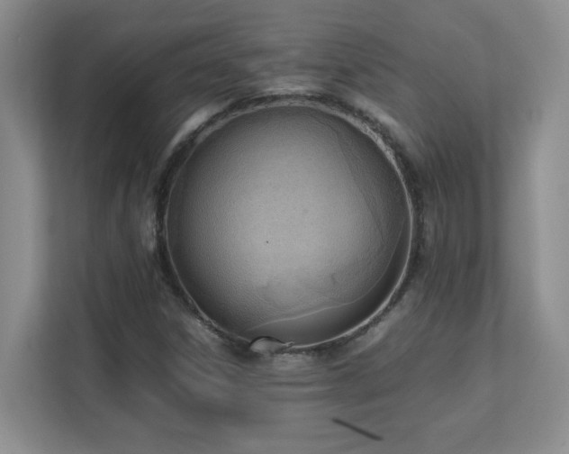 X0000111391306200907101138