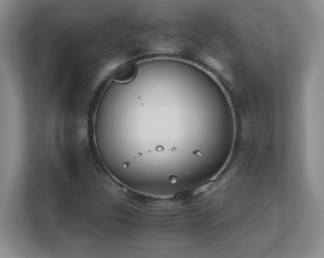 X0000111391307200907101138