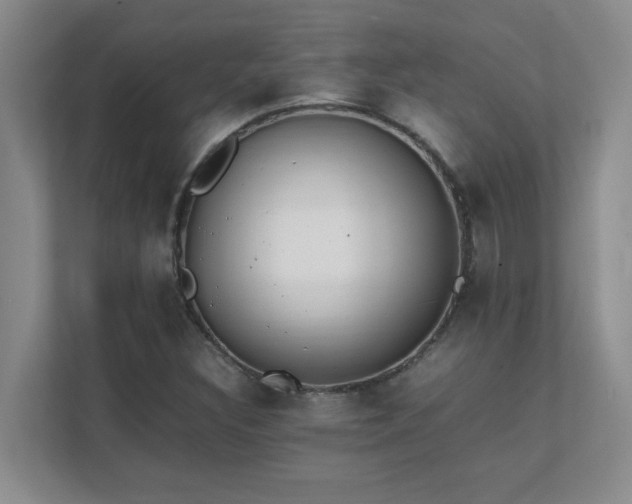X0000111391308200907101138