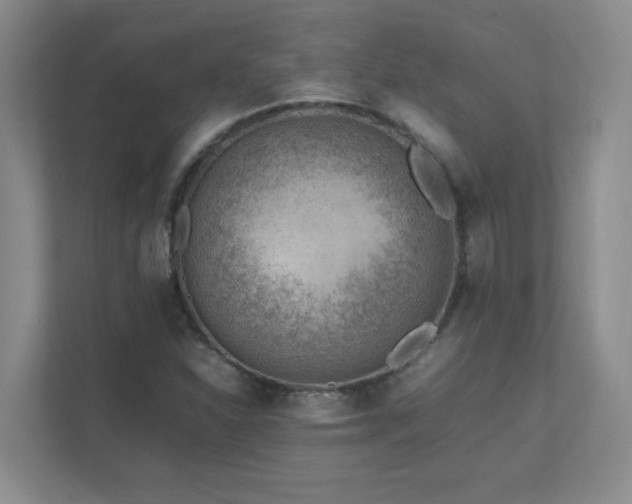X0000111391310200907101138