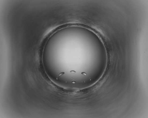 X0000111391311200907101138