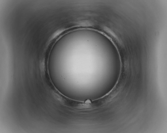 X0000111391315200907101138