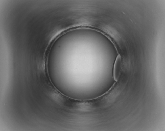 X0000111391316200907101138