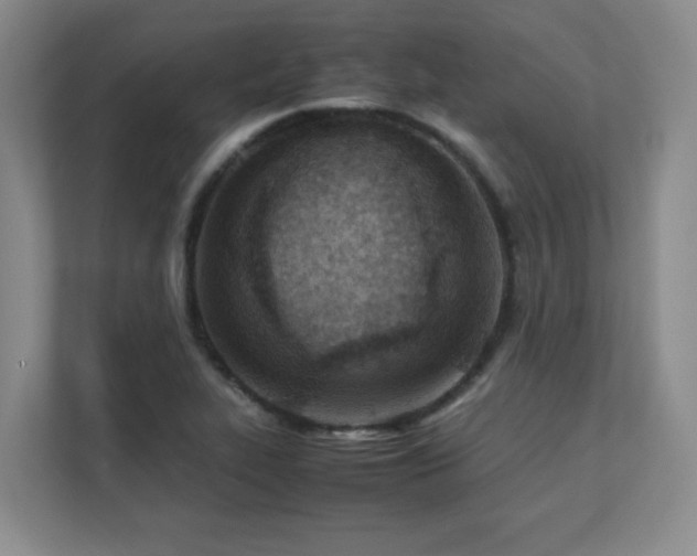 X0000111391319200907101138