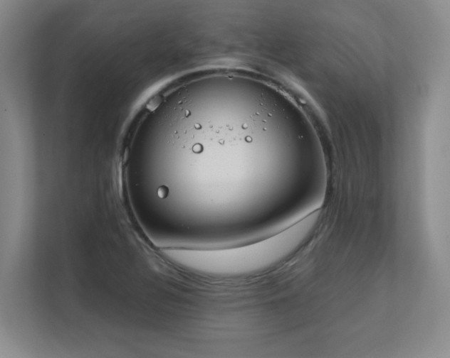 X0000111391320200907101138