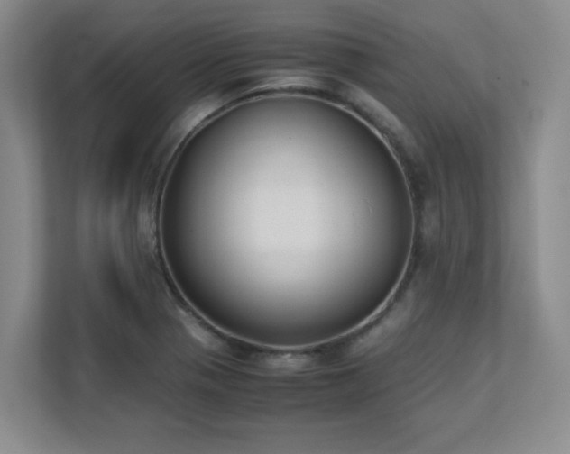 X0000111391321200907101138
