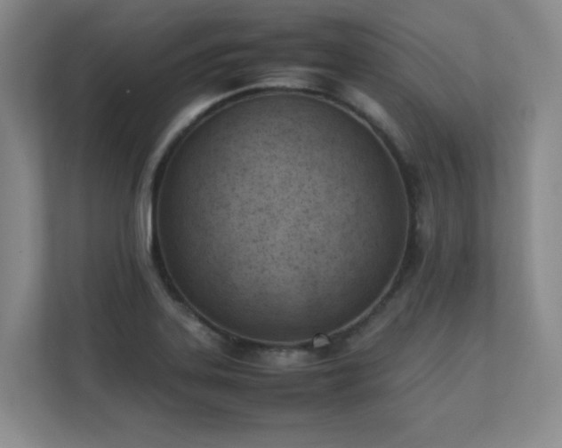X0000111391323200907101138