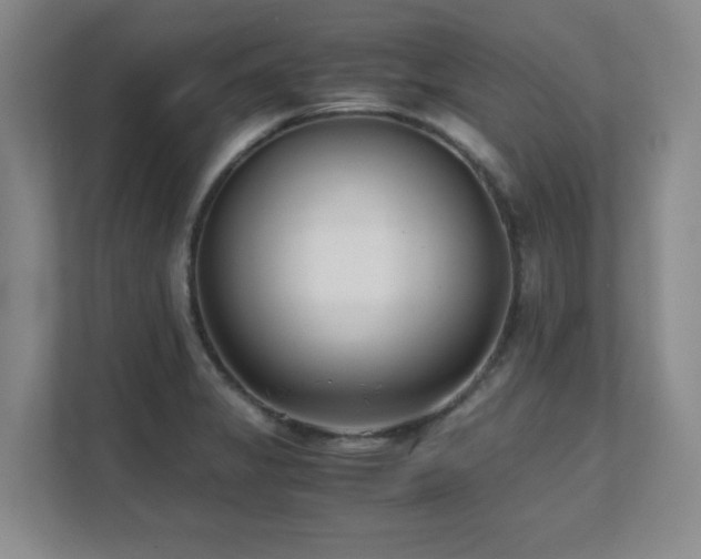 X0000111391325200907101138