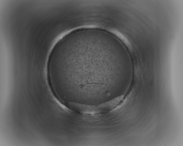 X0000111391327200907101138