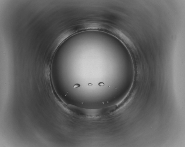 X0000111391329200907101138