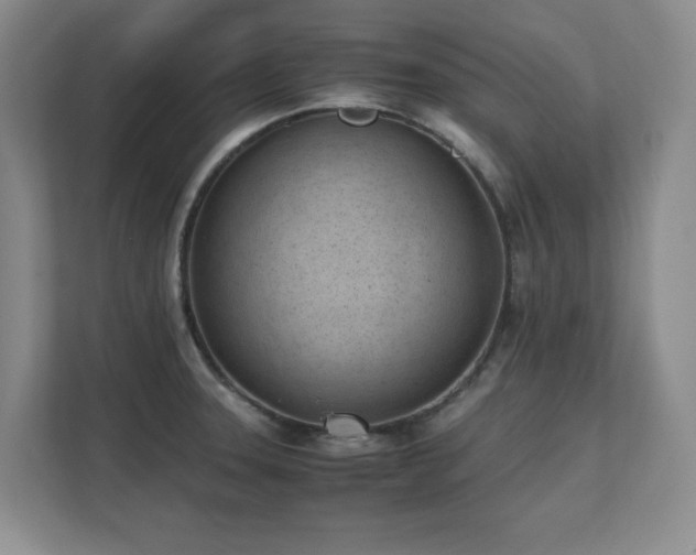 X0000111391331200907101138