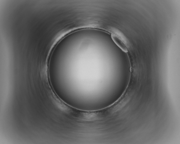 X0000111391332200907101138