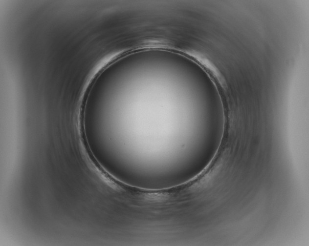 X0000111391333200907101138